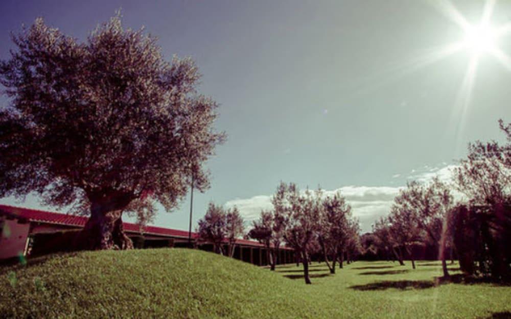 All Ways Garden Hotel & Leisure Rome Luaran gambar